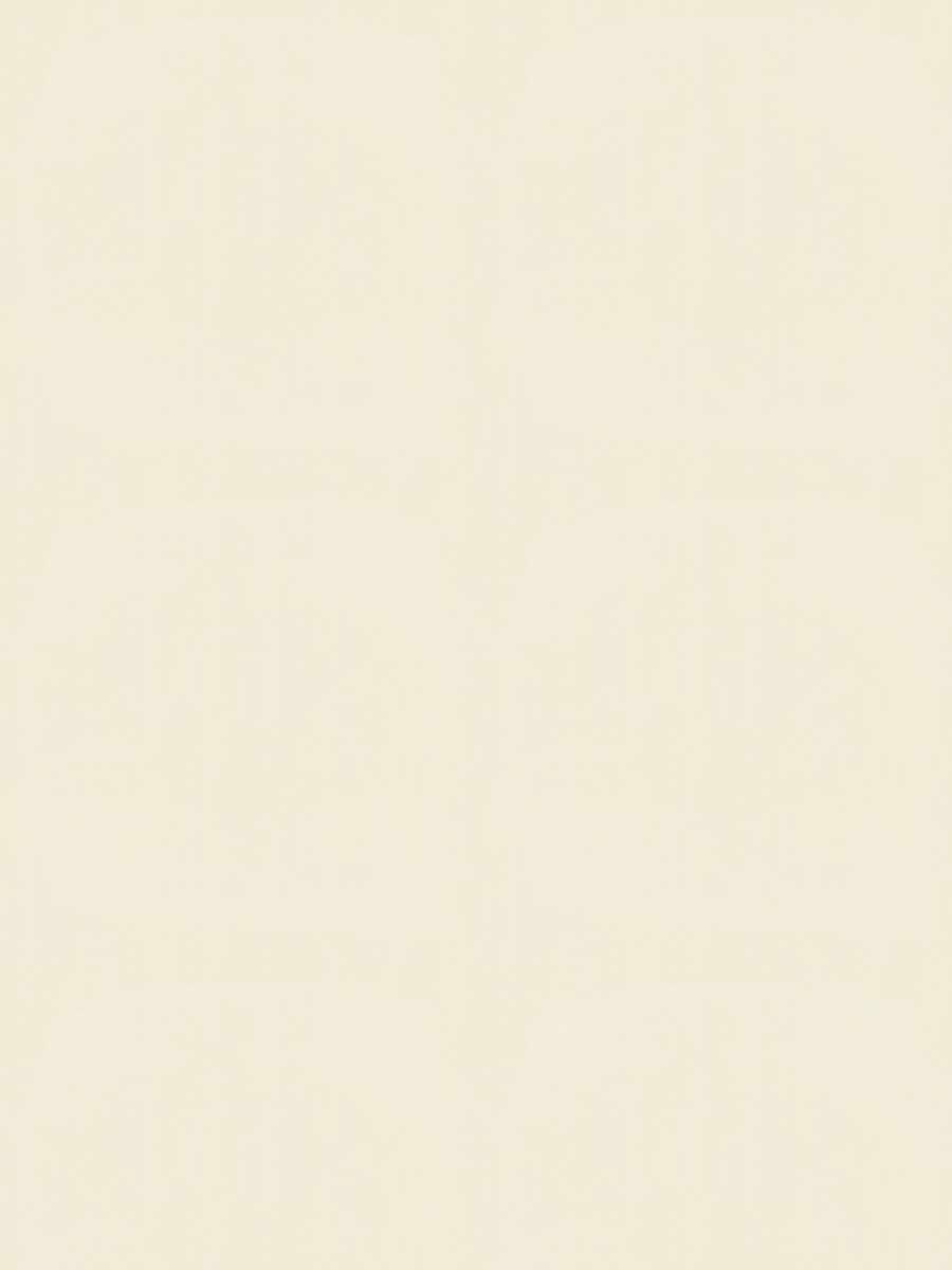 Home Decorative Fabric Linen - Delmore Bisque