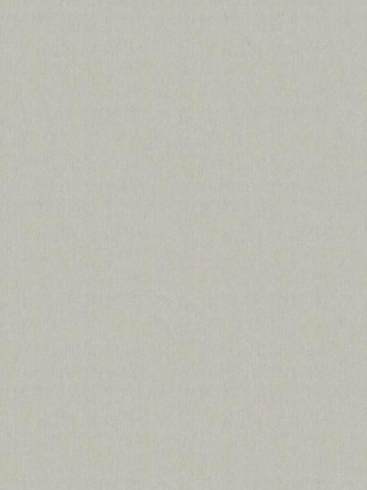 Home Decorative Fabric Linen - Delmore Flax