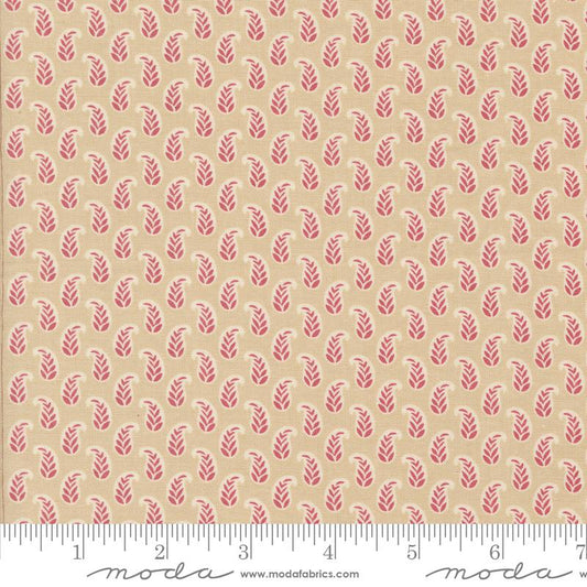 Rouenneries Trois Oyster 13967 18