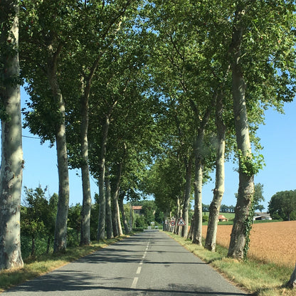 France Getaway with Junko Miyazaki / Monday, June 1st - Monday, June 8th, 2026