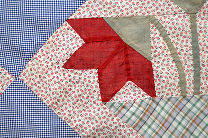 Antique Carolina Lily Quilt Top