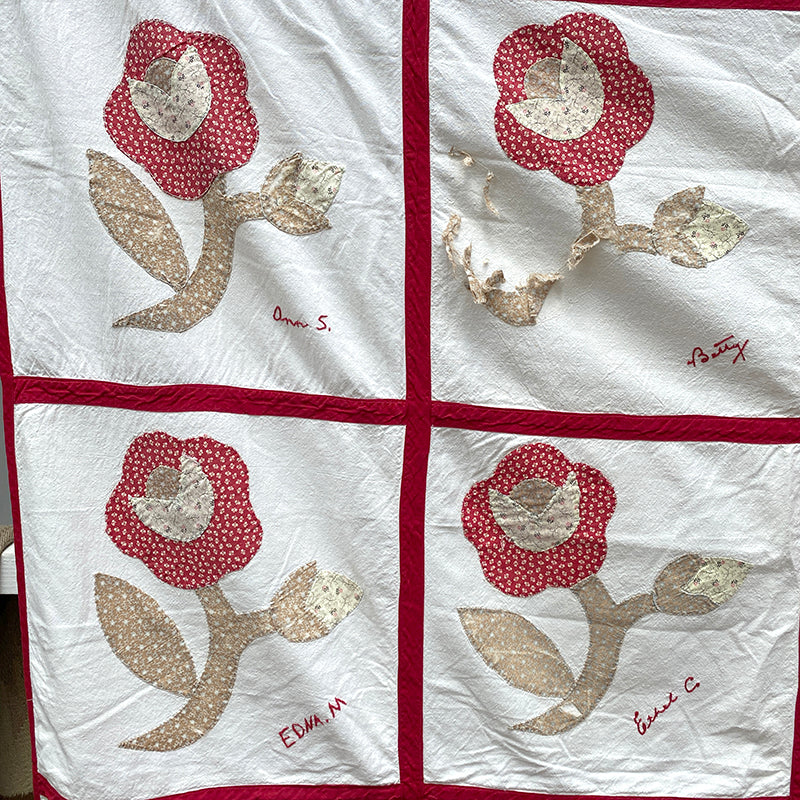Antique Rose Friendship Quilt Top