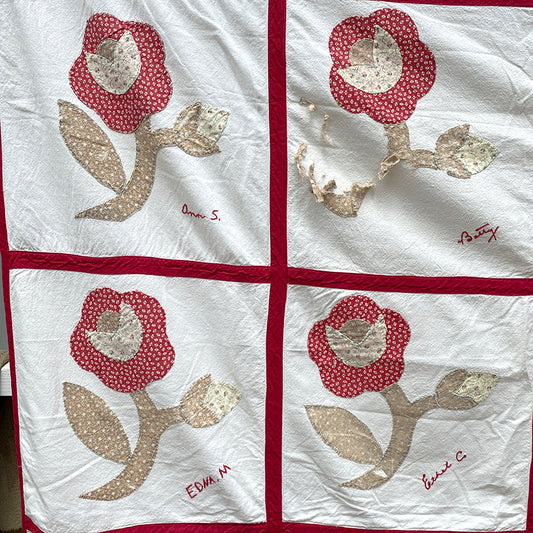 Antique Rose Friendship Quilt Top