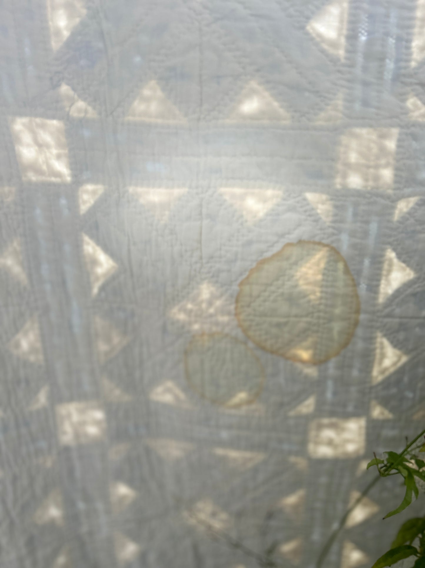 Early Indigo and White Quilt