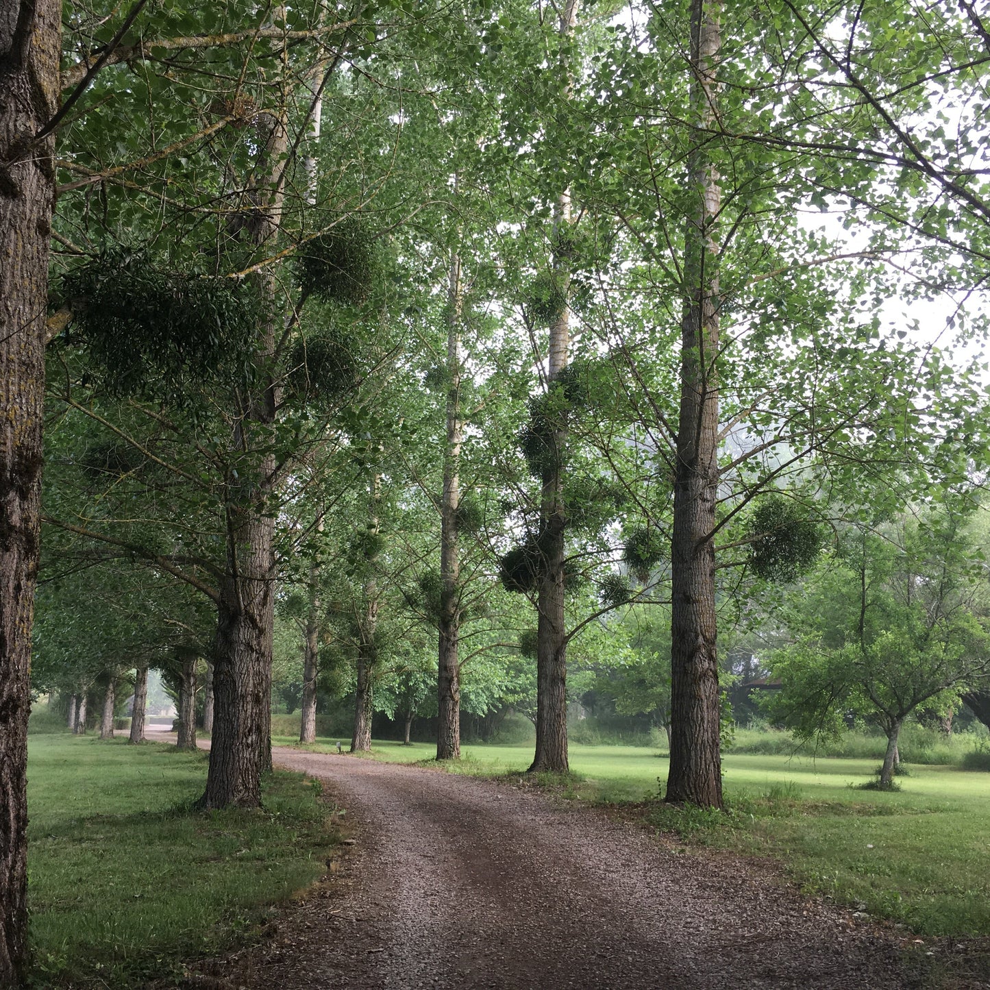 France Getaway with Junko Miyazaki / Monday, June 1st - Monday, June 8th, 2026