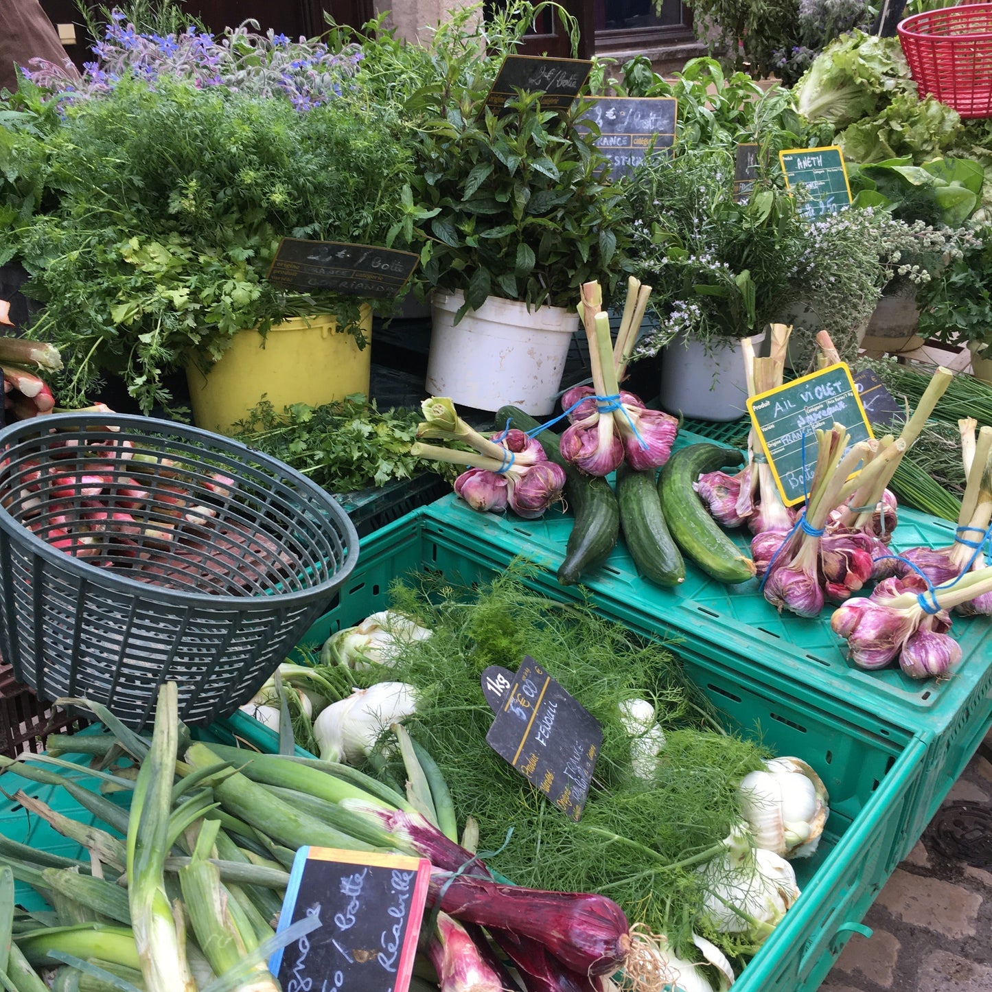 France Getaway with Junko Miyazaki / Monday, June 1st - Monday, June 8th, 2026