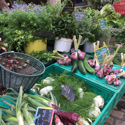 France Getaway with Junko Miyazaki / Monday, June 1st - Monday, June 8th, 2026