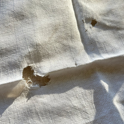 Antique Béarn Household Cloth / Set of Two /JP Monogram