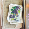 Box of Antique French Ephemera
