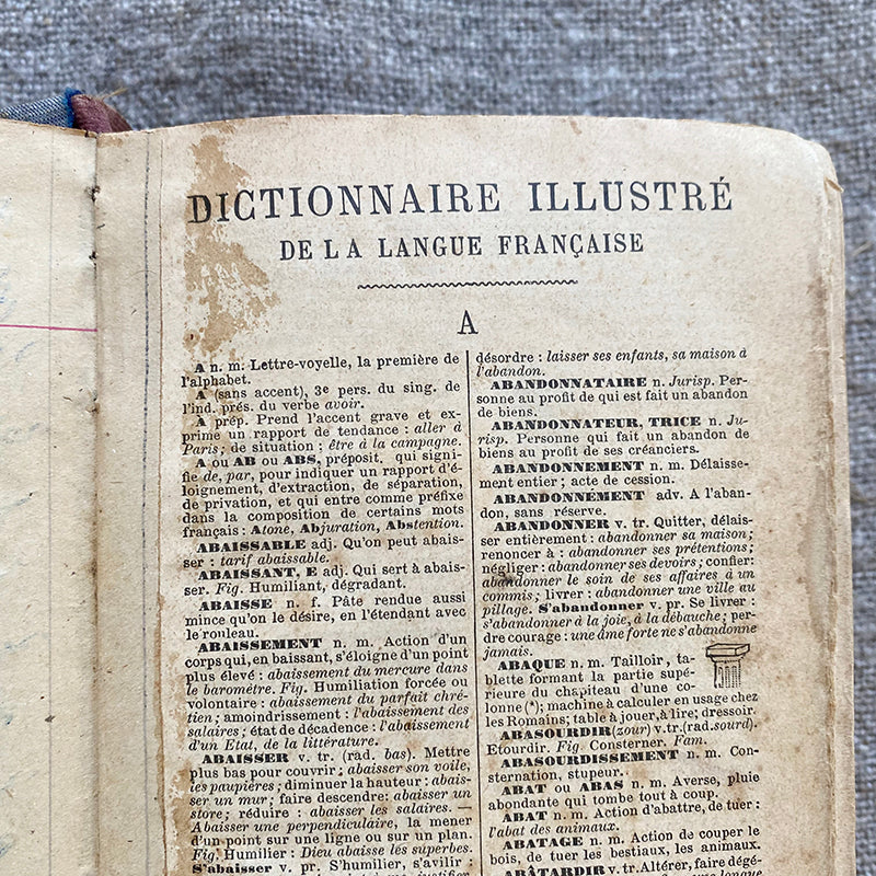 Vintage French Illustrated Dictionary
