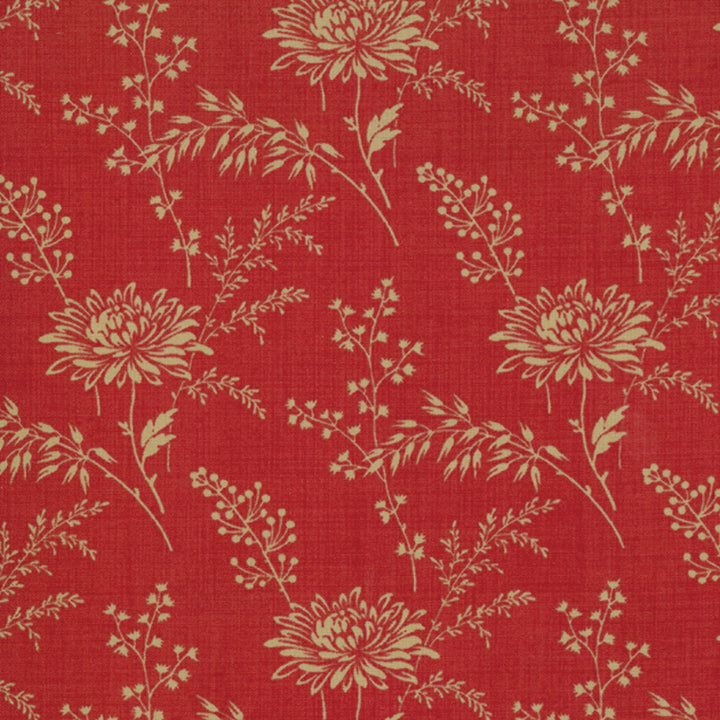 Moda Favorites 13527 32