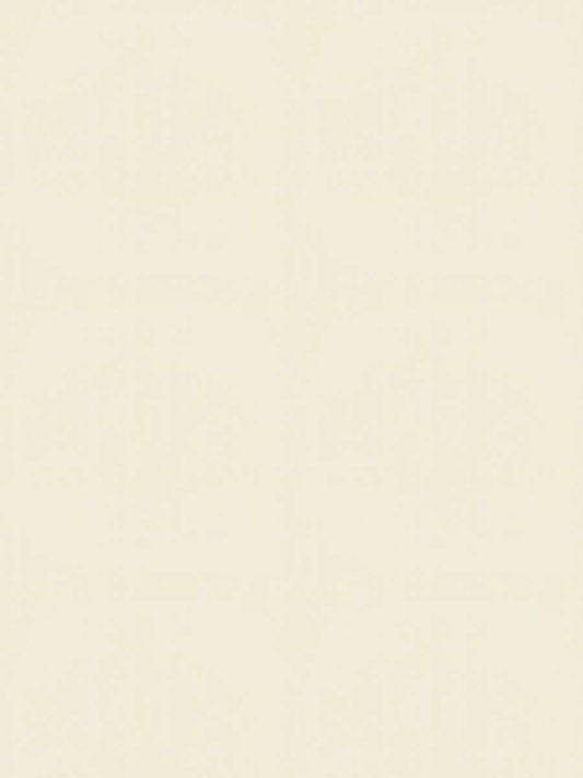 Home Decorative Fabric Linen - Delmore Bisque