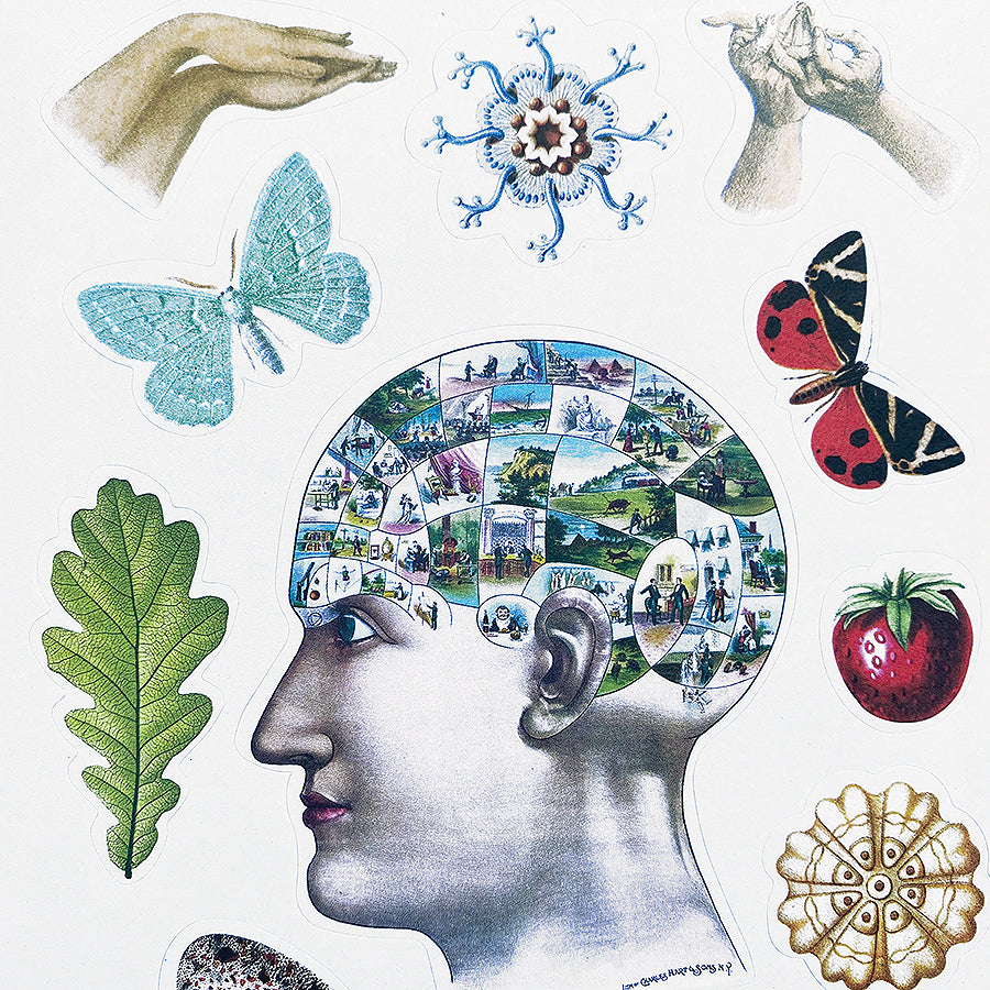 The Antiquarian Sticker Book