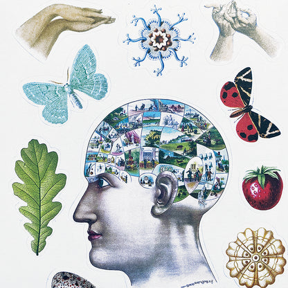 The Antiquarian Sticker Book