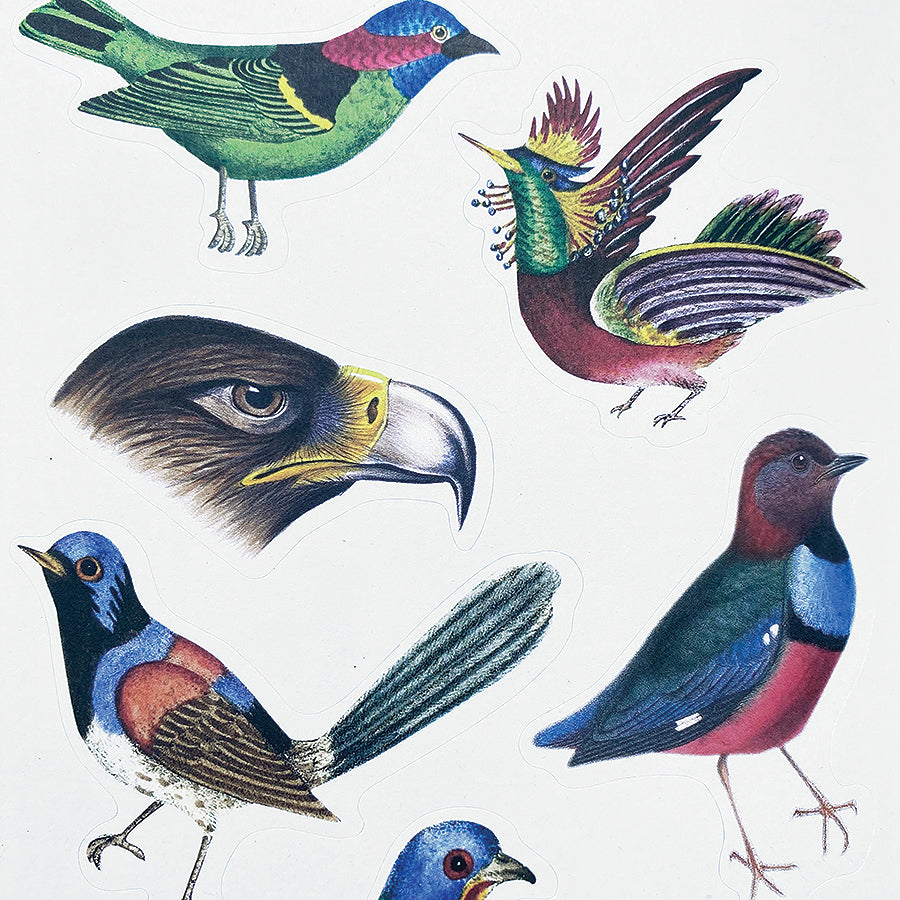 The Antiquarian Sticker Book