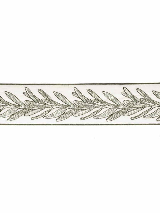 Home Decorative Trim - Lachapelle Tortue