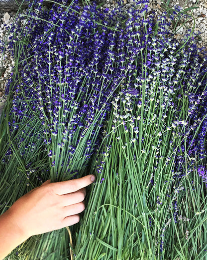 Video Series: A Taste of France with Table de Touron