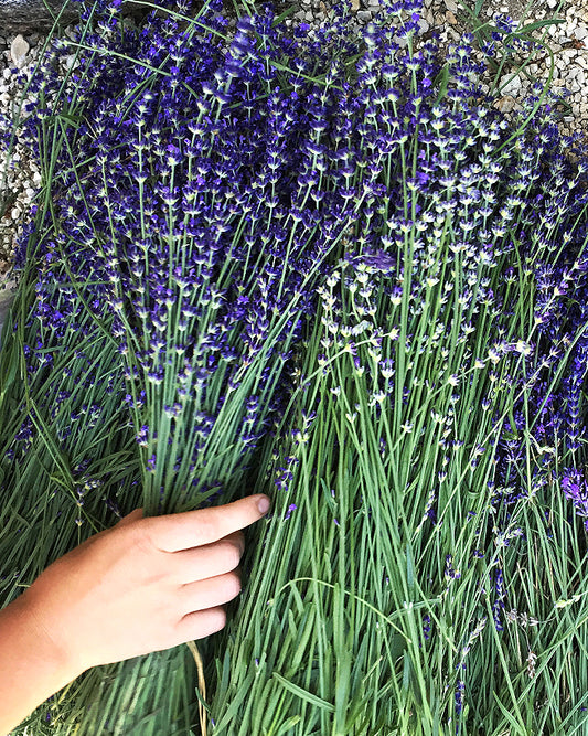 Video Series: A Taste of France with Table de Touron