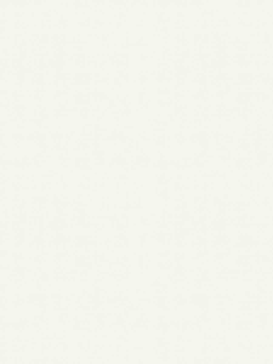 Home Decorative Fabric Linen - Ondine Blanc