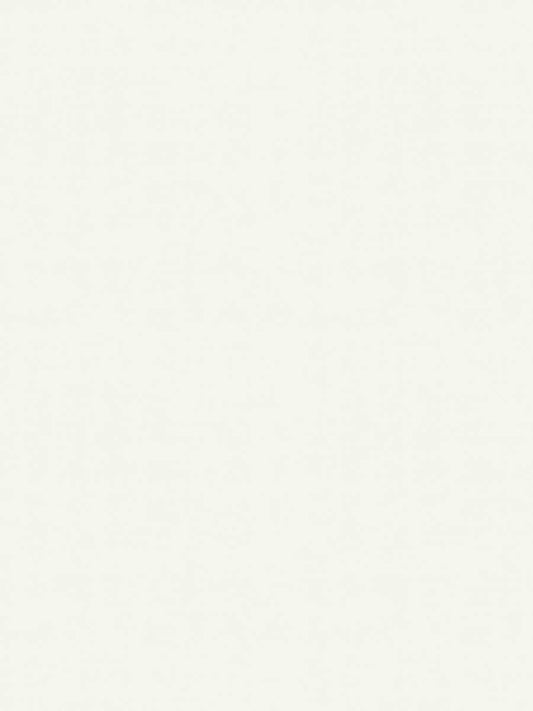 Home Decorative Fabric Linen - Ondine Blanc