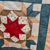 Antique Star Quilt Top - Cutter?