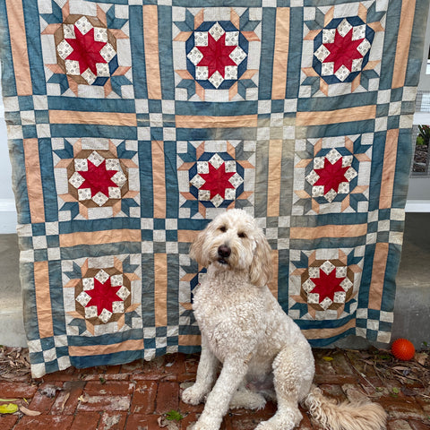 Antique Star Quilt Top - Cutter?