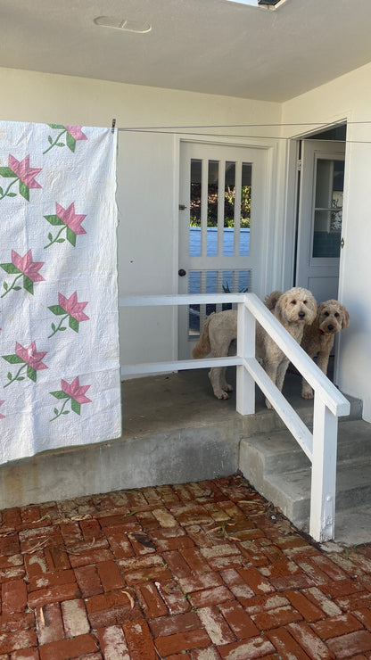 Antique Tulip Quilt